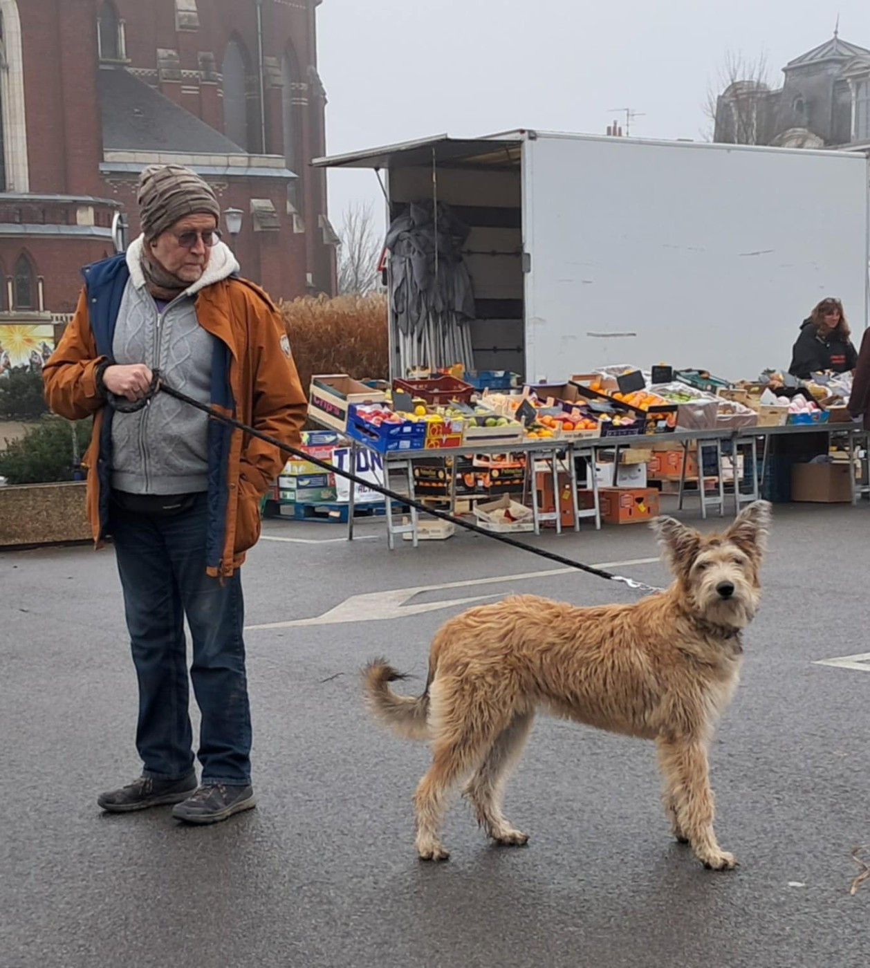 ARYA du domaine de sursaint