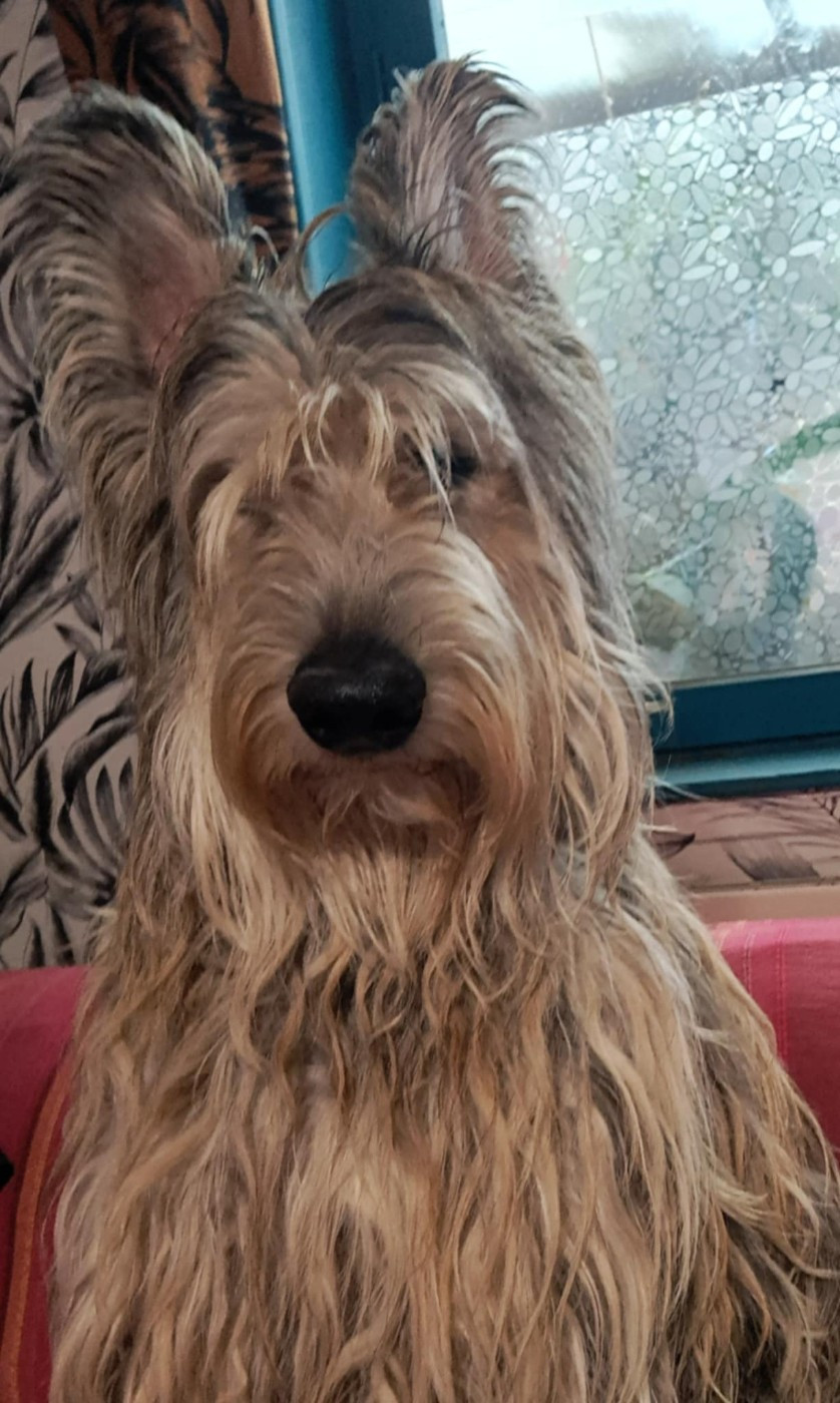 Unyk Du Moulin Des Alouettes